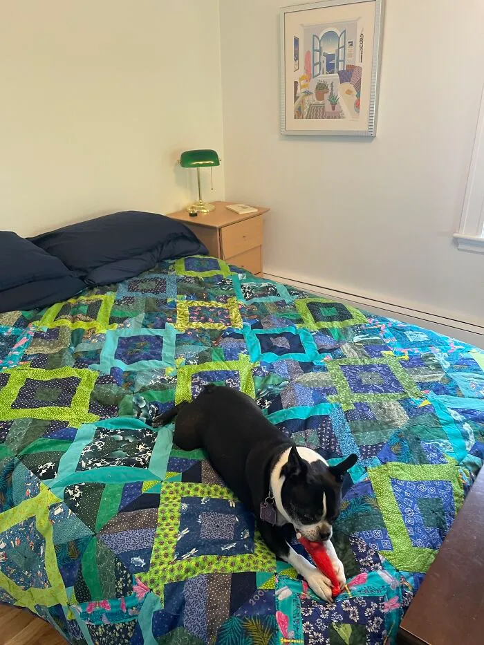 This One, Because My Dog's In It