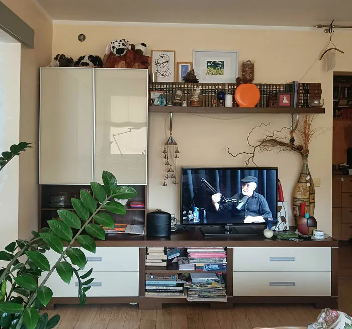 I Love This Shelf Combo In My Lounge Room