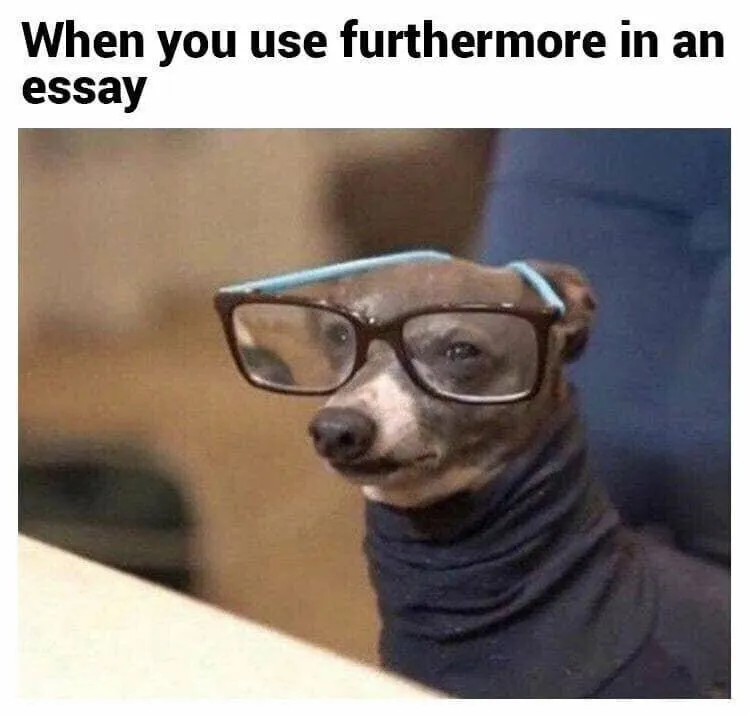 Hey Pandas I Need Your Best School Related Memes