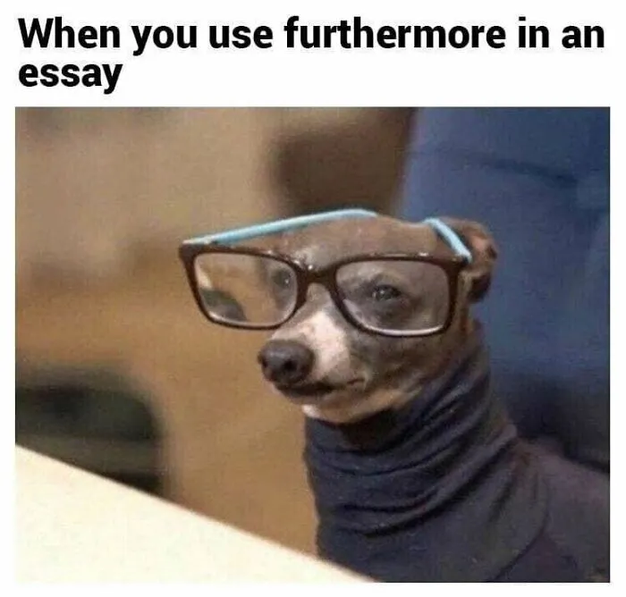 Smart Doggo