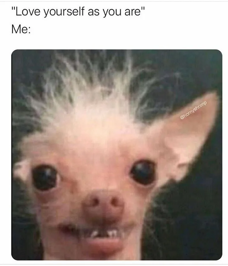 Hey Pandas, Post The Funniest Pic On Your Camera Roll