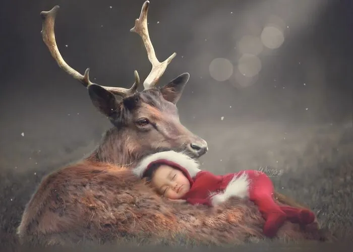 I Create Magical Scenarios With Wildlife Using Photoshop (16 Pics)