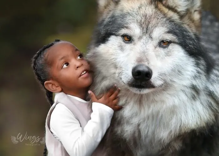 I Create Magical Scenarios With Wildlife Using Photoshop (16 Pics)