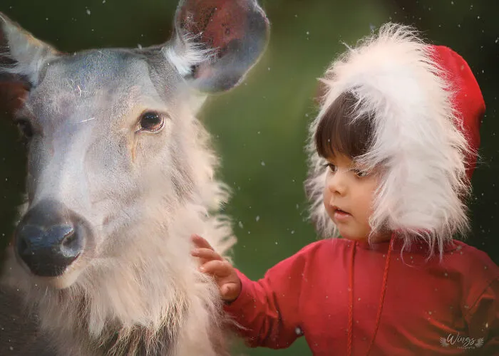 I Create Magical Scenarios With Wildlife Using Photoshop (16 Pics)
