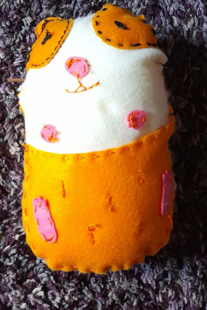 Made A Pretty Cool Looking Guinea Pig Cushion