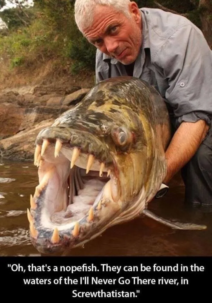 Nope Fish In The I'll Never Go There River