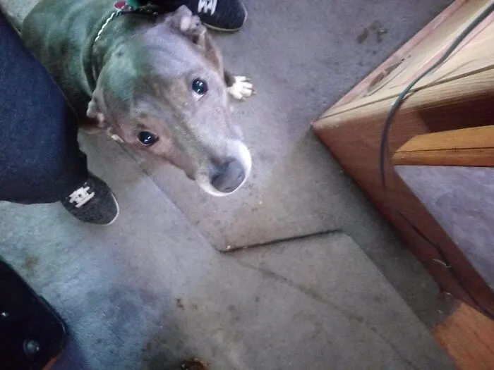 "Can I Want To Go To Work With You?"