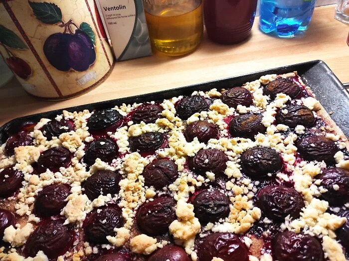 Sourdough Plum Pie