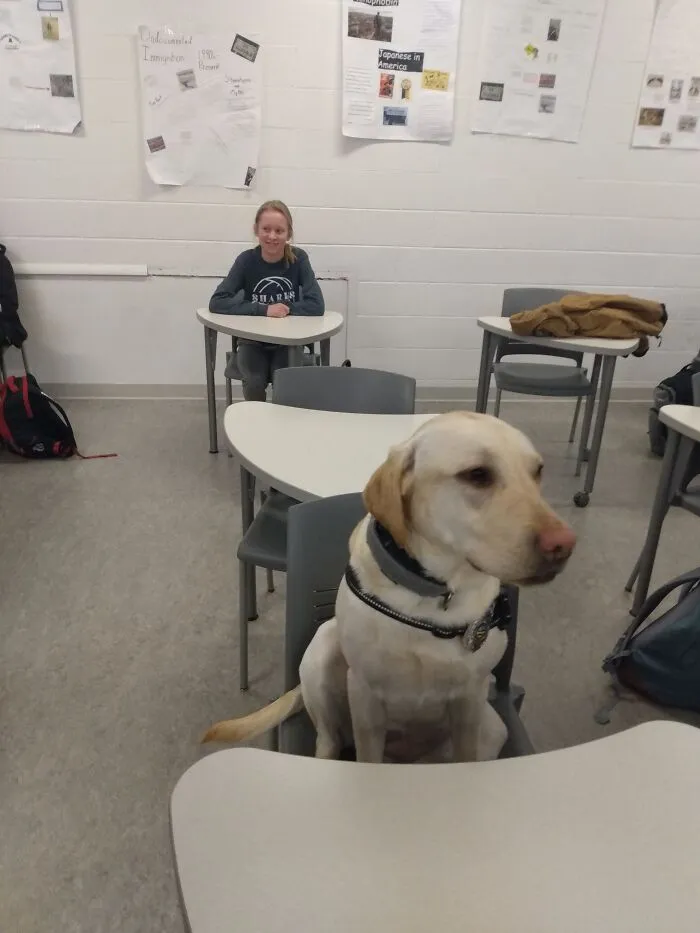 The “WeRateDogs” Twitter Account With 9M Followers Rates People's Dogs, And It's As Hilarious As It Is Wholesome (50 New Pics)