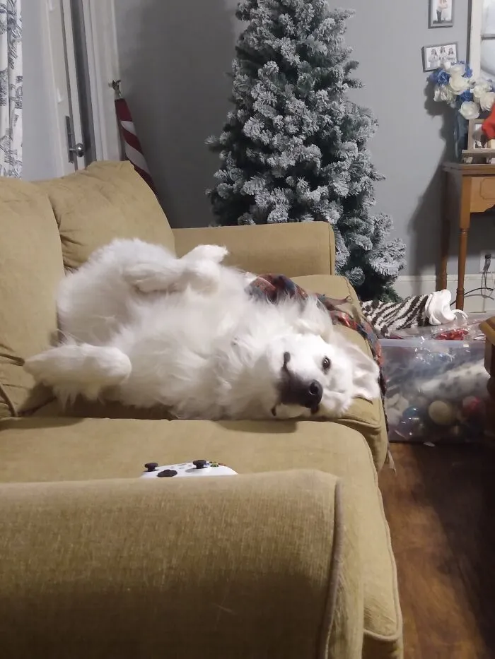 She Sleeps Like This. And Her Namesake Is Betty White Lol