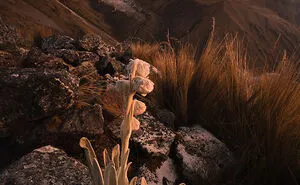 I Traveled To The Peruvian Andes, Take A Look At What I Saw There (27 Pics)