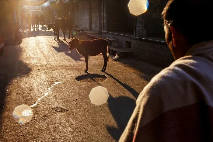 Este científico reconvertido en fotógrafo hace foto de momentos cotidianos muy irónicos (30 imágenes)