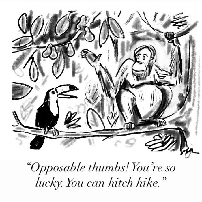 40 Clever And Witty One-Panel Comics By New Yorker Cartoonist, Sofia Warren