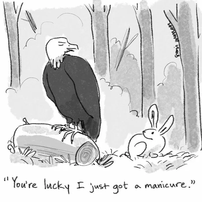 40 Clever And Witty One-Panel Comics By New Yorker Cartoonist, Sofia Warren