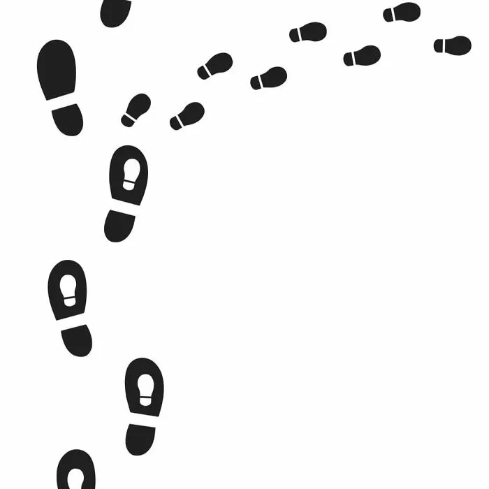 Lead Or Follow