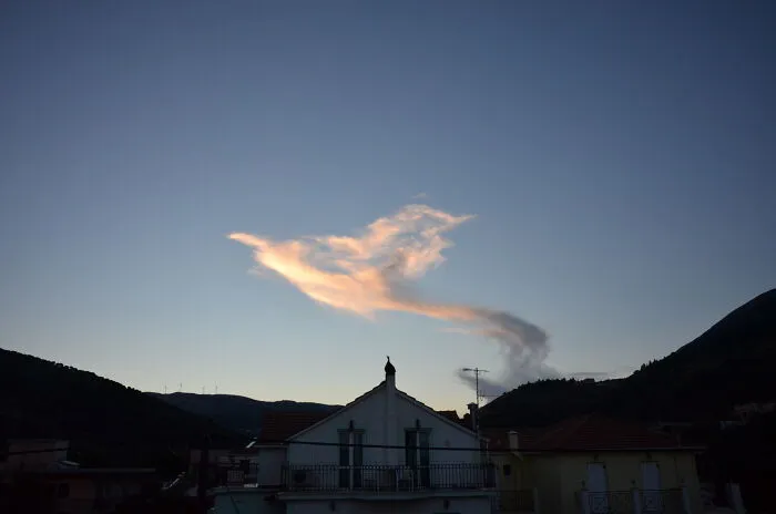 Phoenix Rising