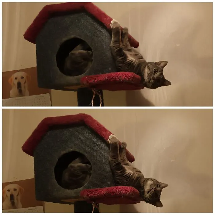 "What?! Nooooooo...."