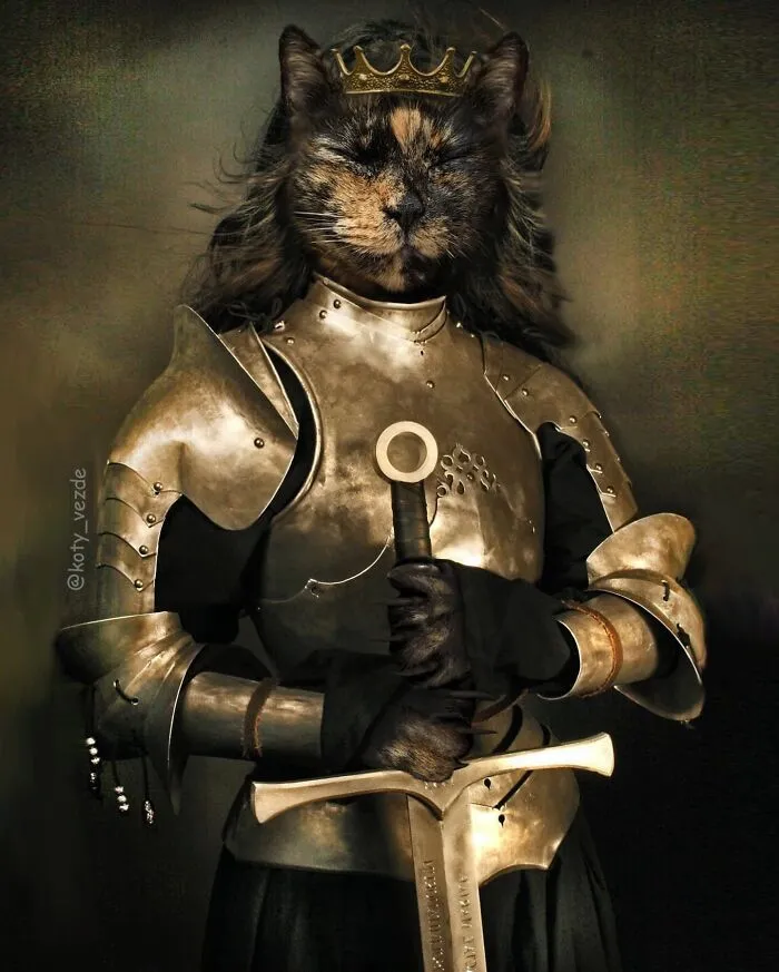 Artist Turns Pictures Of Cats Into Classical Paintings (56 Pics)