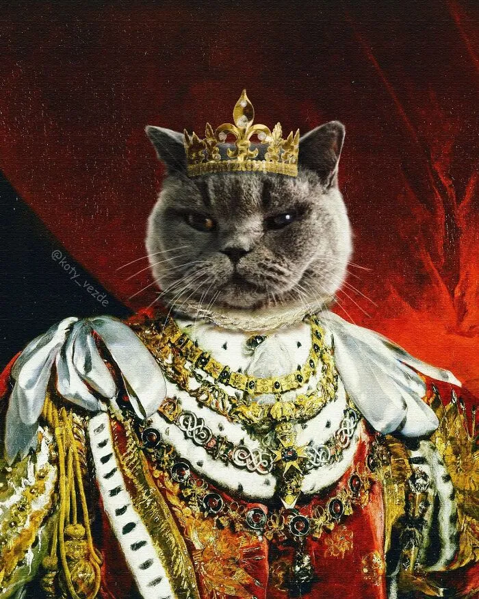 Artist Turns Pictures Of Cats Into Classical Paintings (56 Pics)