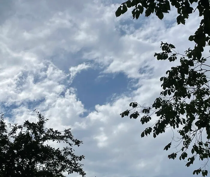 Right After A Loved One's Death, I Saw This Heart-Shaped Hole