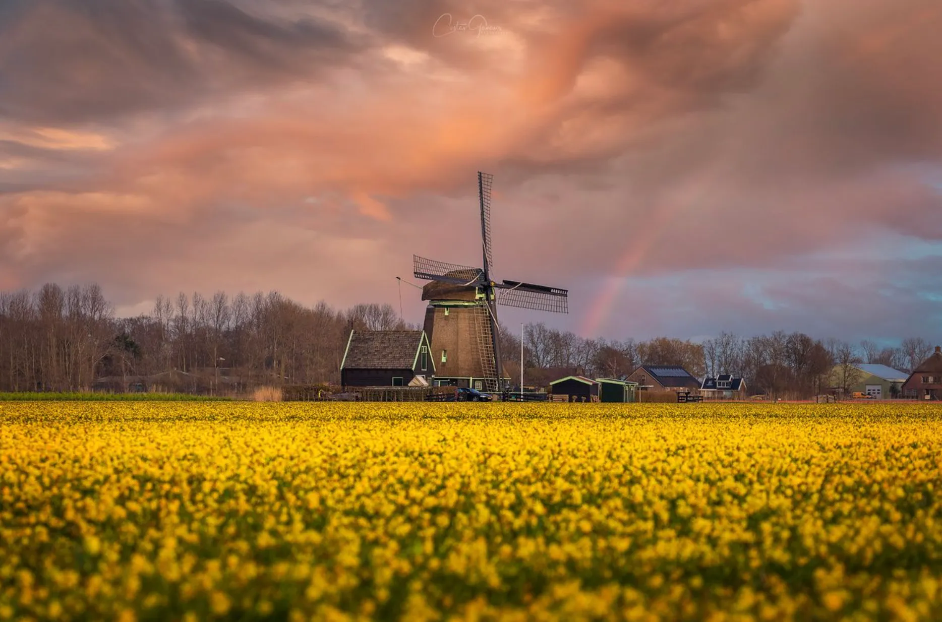 Creative Photos Showing The Color Yellow Taking Over