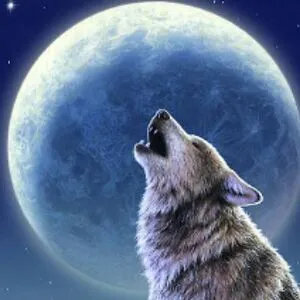Your average non-binary wolf