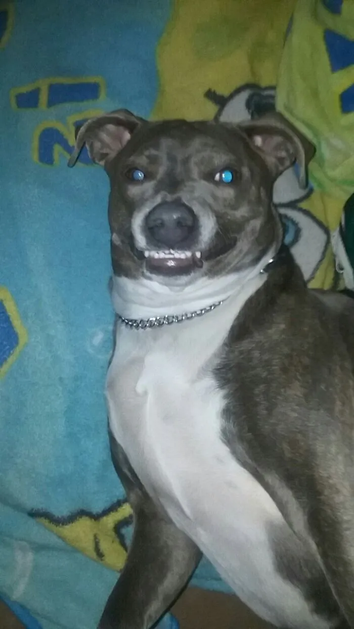 What A Cheesy Grin!