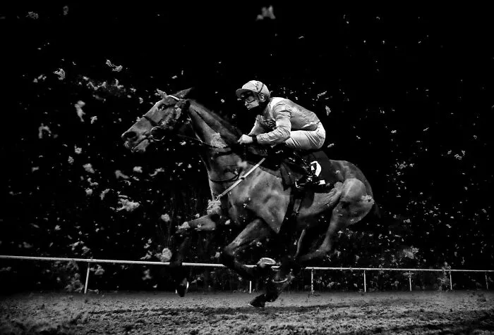 Equestrian, Mike Egerton