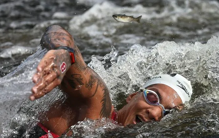 Aquatic, Silver, Jonne Roriz