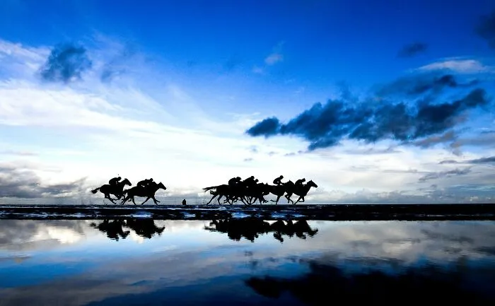 Equestrian, Silver, Ramsey Cardy