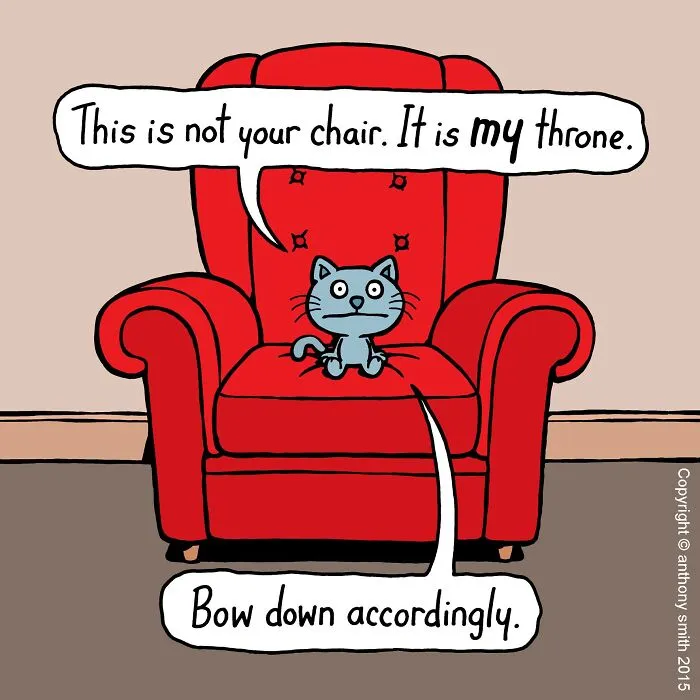 These One-Panel Cat Comics By Anthony Smith Purrfectly Capture What Having A Cat Is Like (40 Pics)