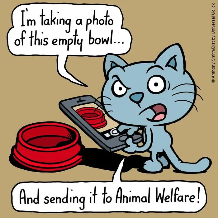 These One-Panel Cat Comics By Anthony Smith Purrfectly Capture What Having A Cat Is Like (40 Pics)