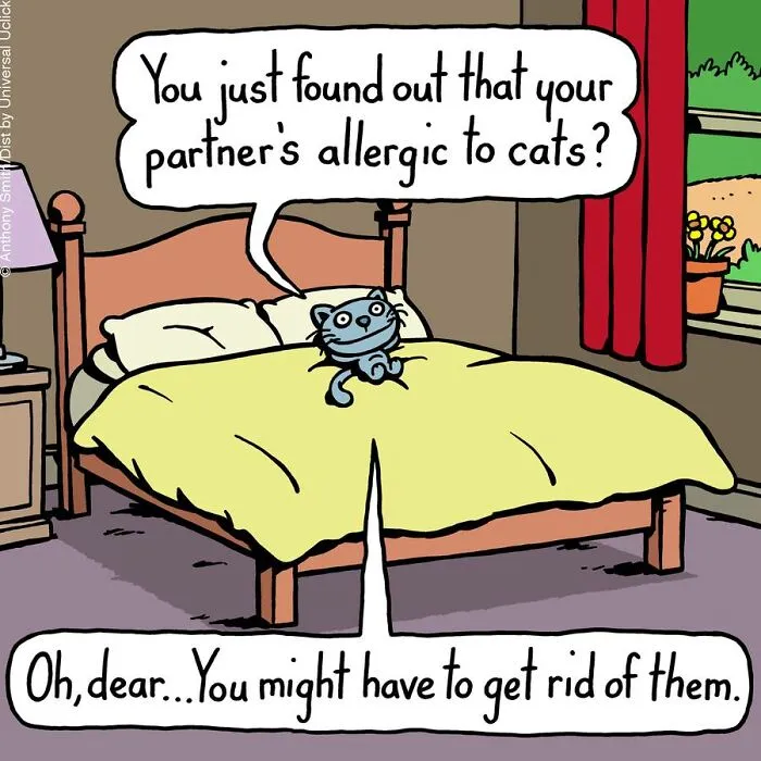 These One-Panel Cat Comics By Anthony Smith Purrfectly Capture What Having A Cat Is Like (40 Pics)
