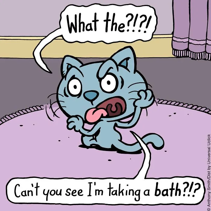 These One-Panel Cat Comics By Anthony Smith Purrfectly Capture What Having A Cat Is Like (40 Pics)