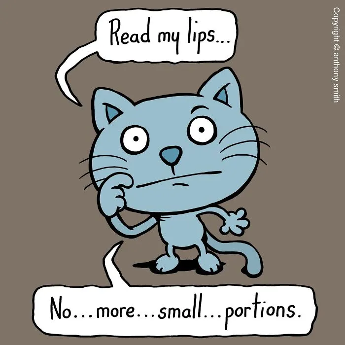 These One-Panel Cat Comics By Anthony Smith Purrfectly Capture What Having A Cat Is Like (40 Pics)