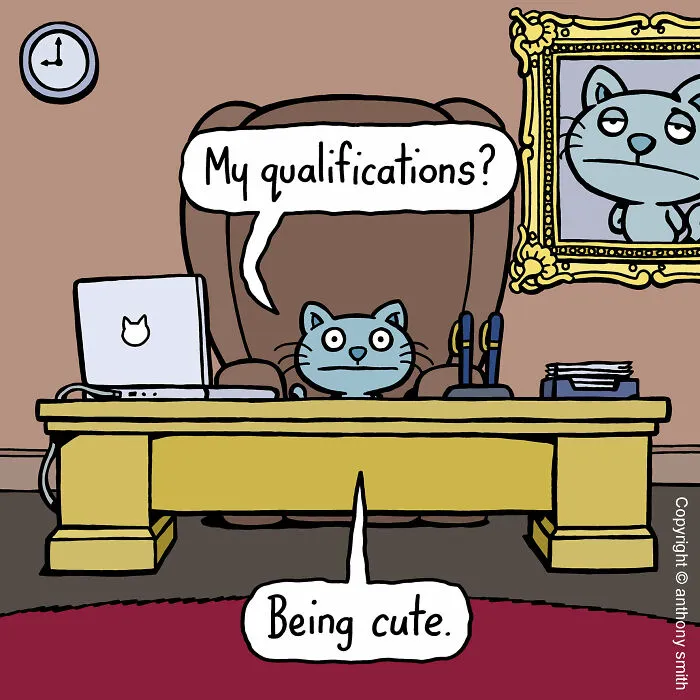 These One-Panel Cat Comics By Anthony Smith Purrfectly Capture What Having A Cat Is Like (40 Pics)