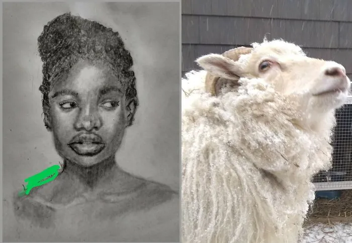My Pet Sheep Is The Real Artist. What Would L Do Without His Signature Bite Marks Along The Edge Of The Page Page
