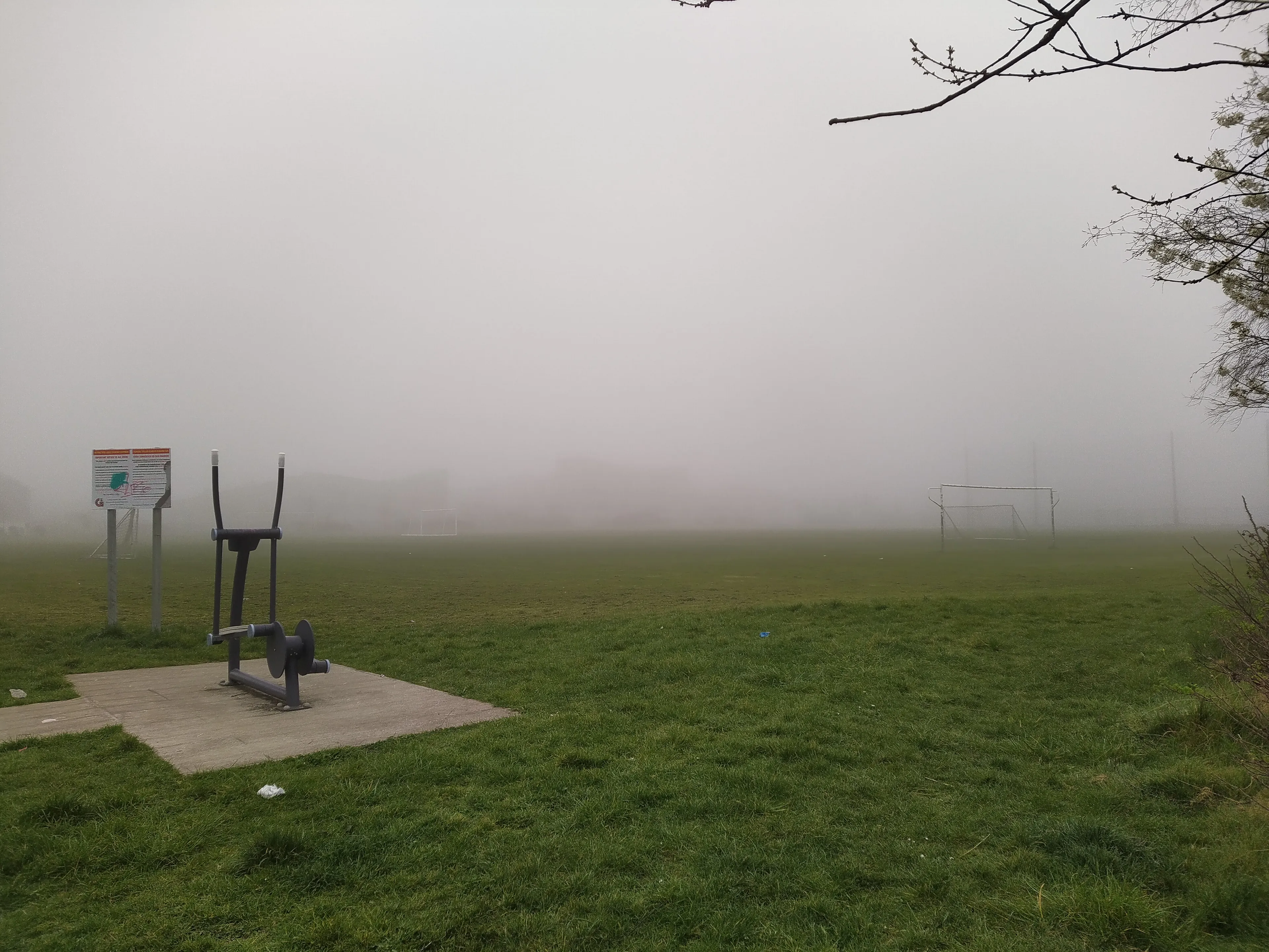 What's Coming At Me Through The Fog?!