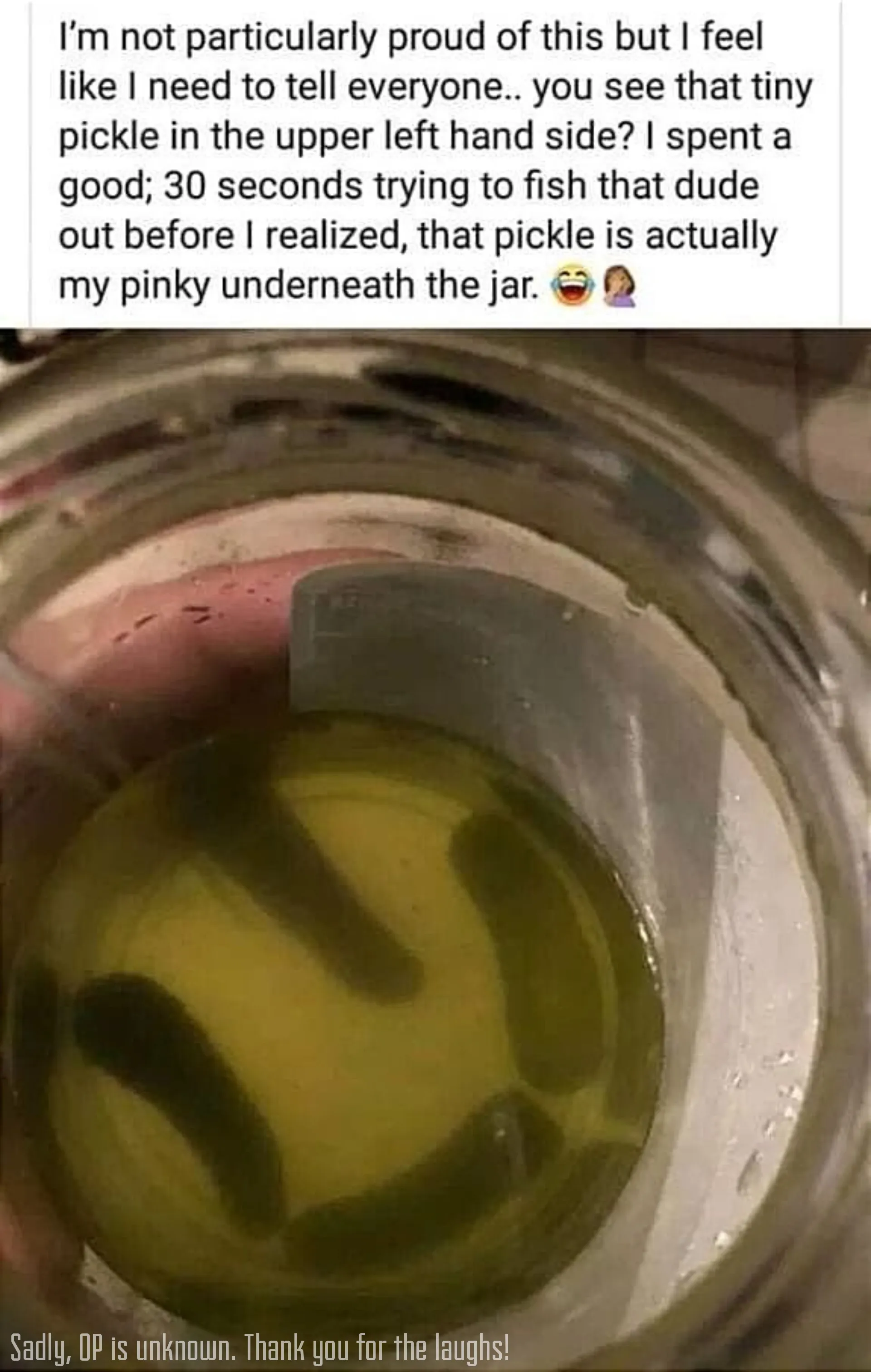 While Browsing Social Media, What Made You Laugh So Hard That You Have To Show It To Everyone You Know?