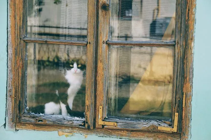 35 Times People Said "Nope, I'm Never Coming To This House Again" When Visiting Someone