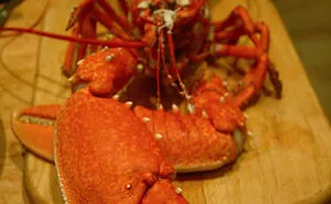 35 Weird Foods That We Now Know Are Edible, But It’s Surprising How Our Ancestors Found That Out, As Pointed Out By Folks Online