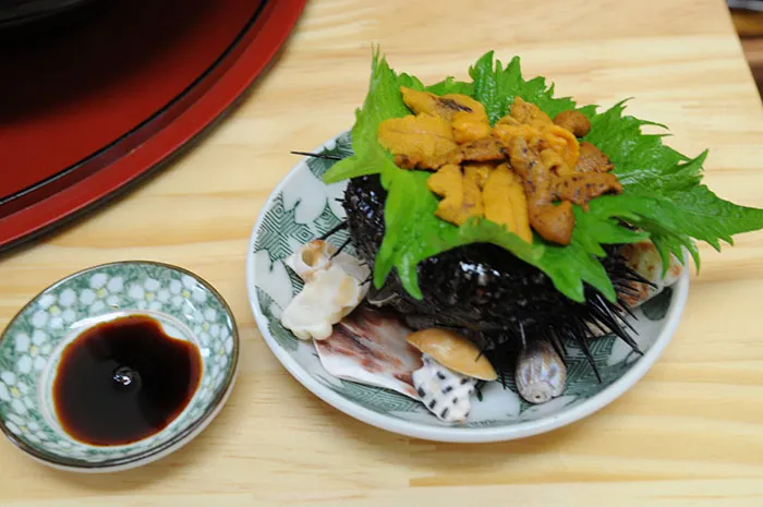 Sea Urchin