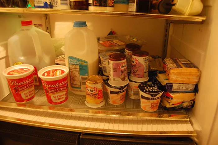Yogurt And Cheese