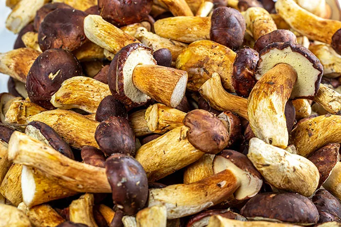 Mushrooms