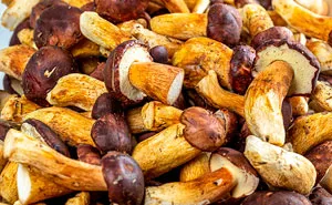 35 Weird Foods That We Now Know Are Edible, But It’s Surprising How Our Ancestors Found That Out, As Pointed Out By Folks Online