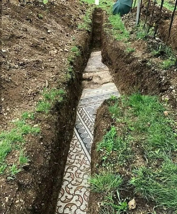 A Roman Mosaic Floor Has Been Discovered Under A Vineyard In Northern Italy After Decades Of Searching