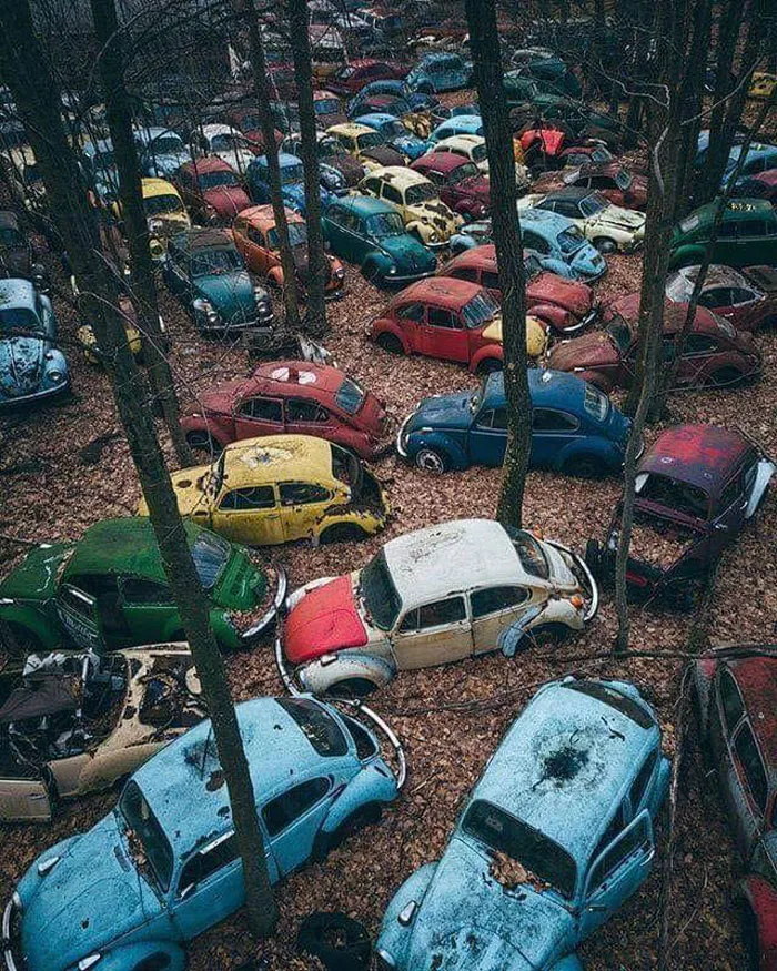 Volkswagen Graveyard
