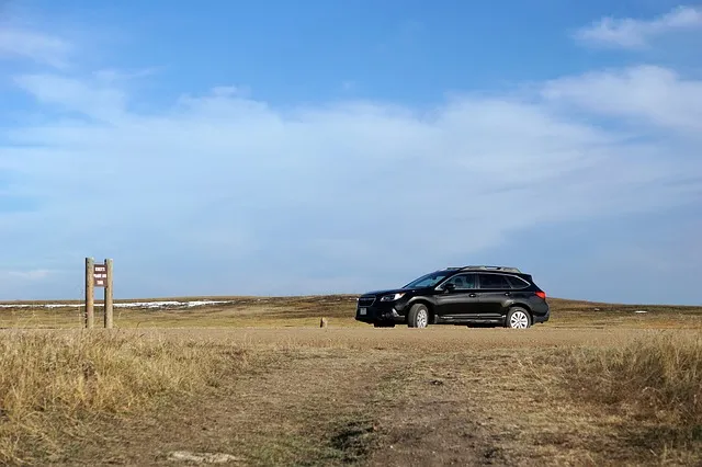 I Drive My Subaru Outback On A Road Trip