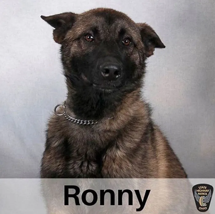 This Is Ronny From Ohio Highway Patrol. He Tried Really Hard For His Picture Okay Don't Make Fun Of Him