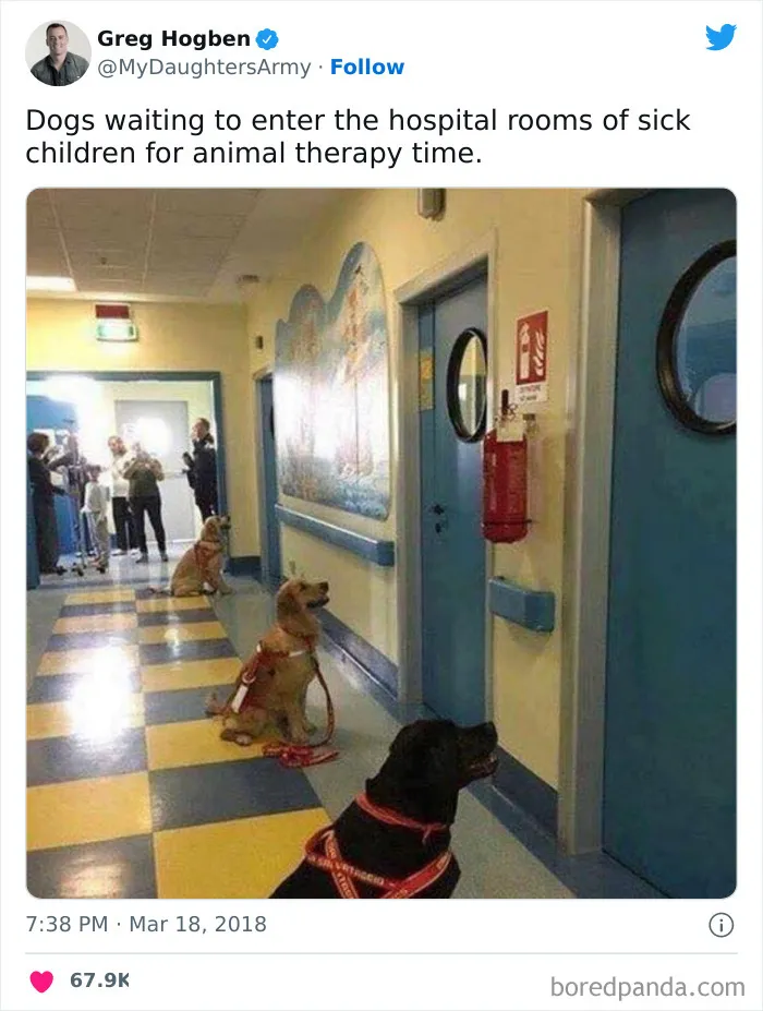 The Best Job